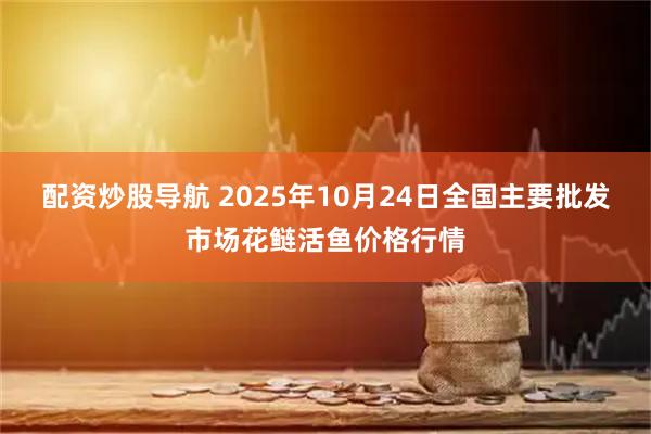 配资炒股导航 2025年10月24日全国主要批发市场花鲢活鱼价格行情