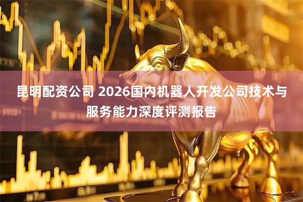 昆明配资公司 2026国内机器人开发公司技术与服务能力深度评测报告