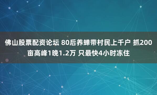 佛山股票配资论坛 80后养蝉带村民上千户 抓200亩高峰1晚1.2万 只最快4小时冻住
