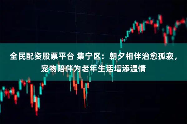 全民配资股票平台 集宁区：朝夕相伴治愈孤寂，宠物陪伴为老年生活增添温情