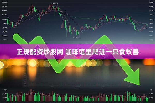 正规配资炒股网 咖啡馆里爬进一只食蚁兽
